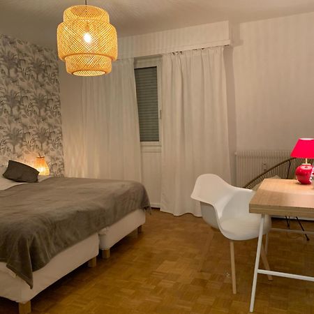 Appartement Centre-Ville Кольмар Экстерьер фото