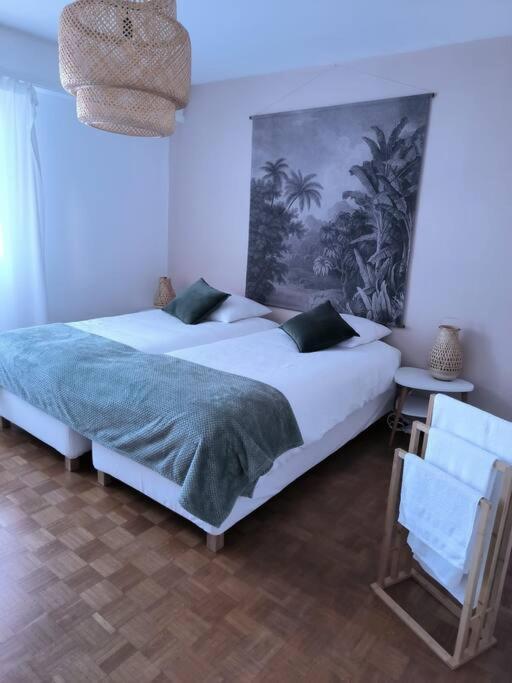 Appartement Centre-Ville Кольмар Экстерьер фото